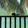 auddk_77 Altpins Profile Picture