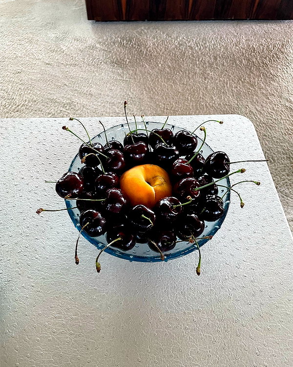 ninastodden instagram image archive image