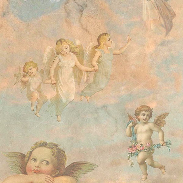 sophiagiannamore instagram image archive image