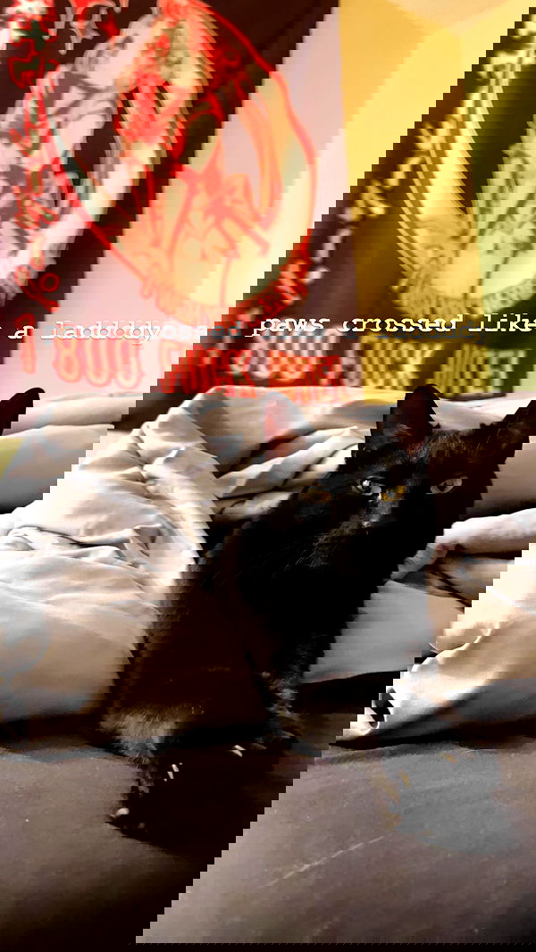 suikomuu suikomuu archive image