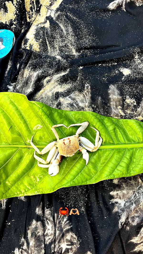 talya.fridland instagram image archive image