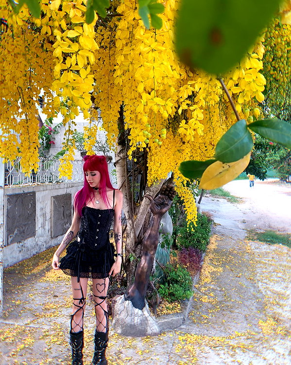 jadelaverne instagram image archive image