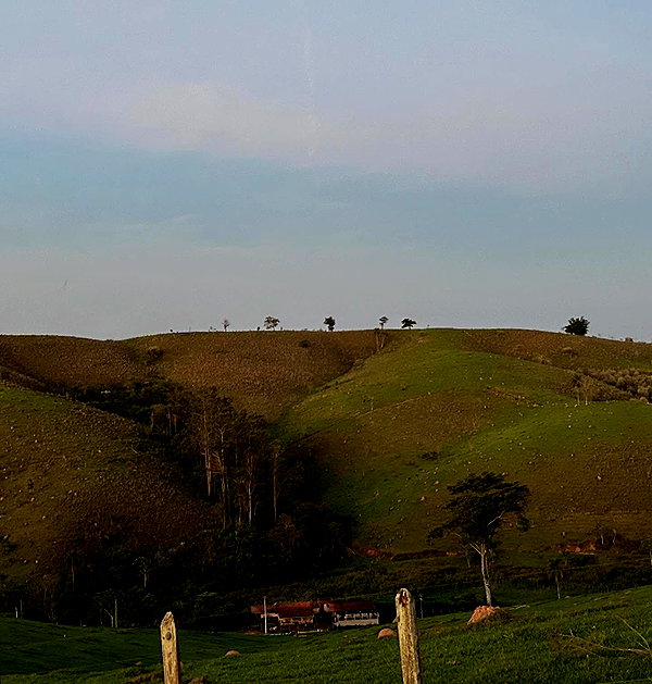 ambrzinha666 instagram image archive image