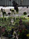 gritsa.k Altpins Profile Picture
