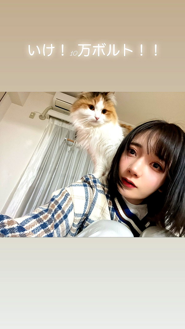 lapinangelia instagram image archive image