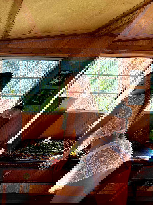 carolinezalog carolinezalog archive image