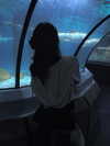 silkfangss Altpins Profile Picture