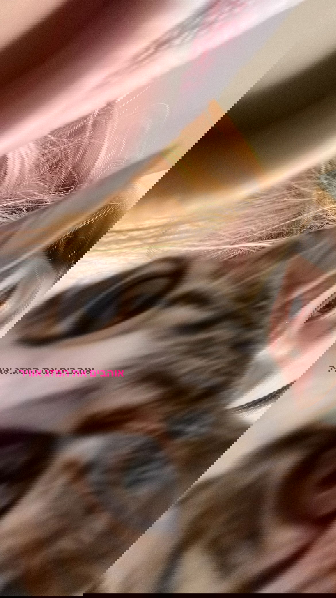 dana_ratushany instagram image archive image