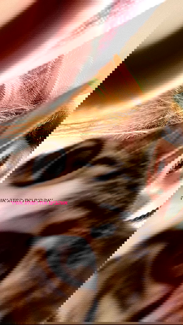 dana_ratushany image ~ Altpins