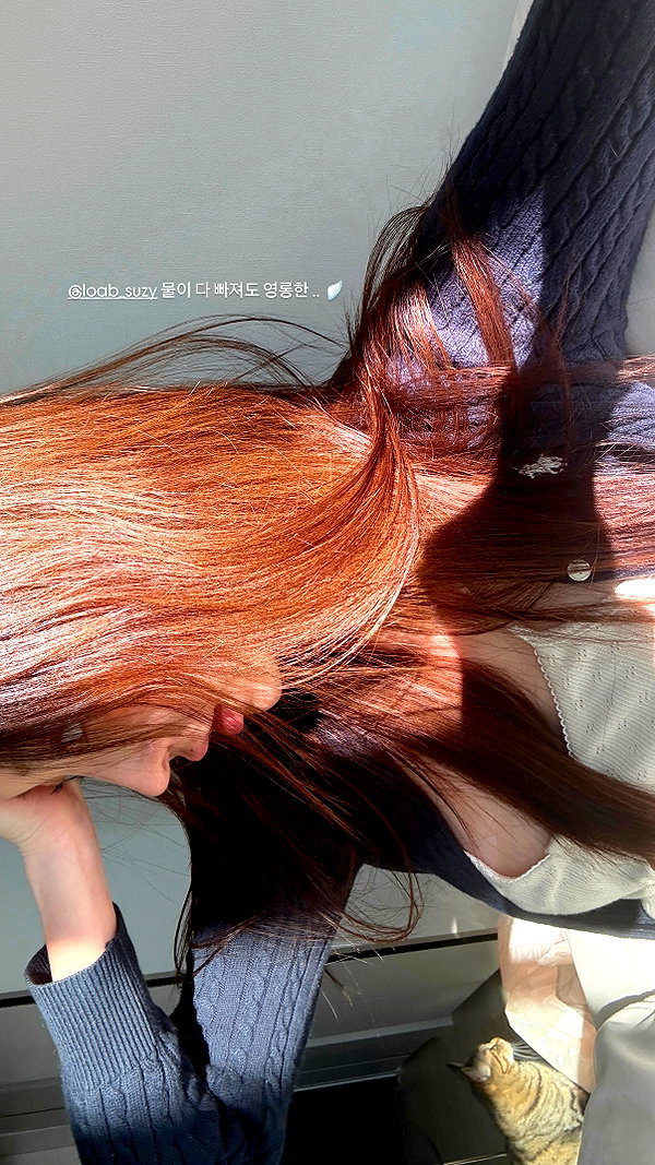 daxbin instagram image archive image