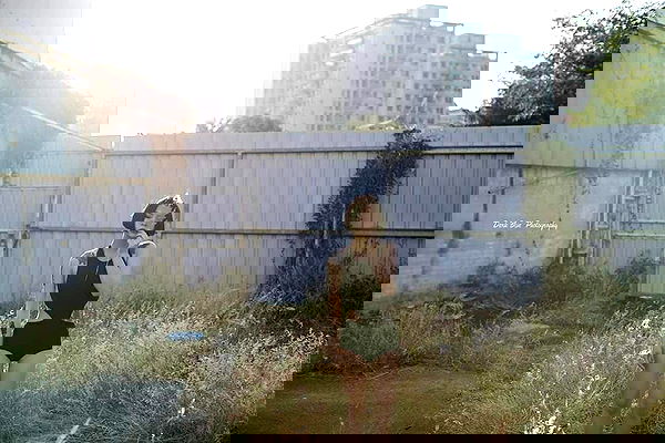 ting851204 ting851204 archive image