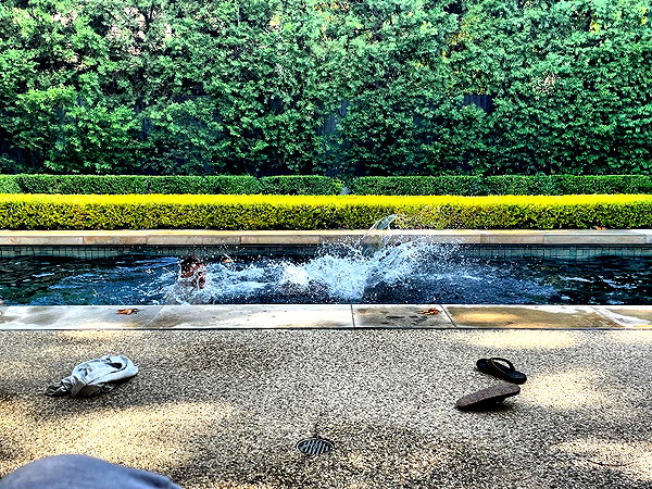 alexandradaddario instagram image archive image