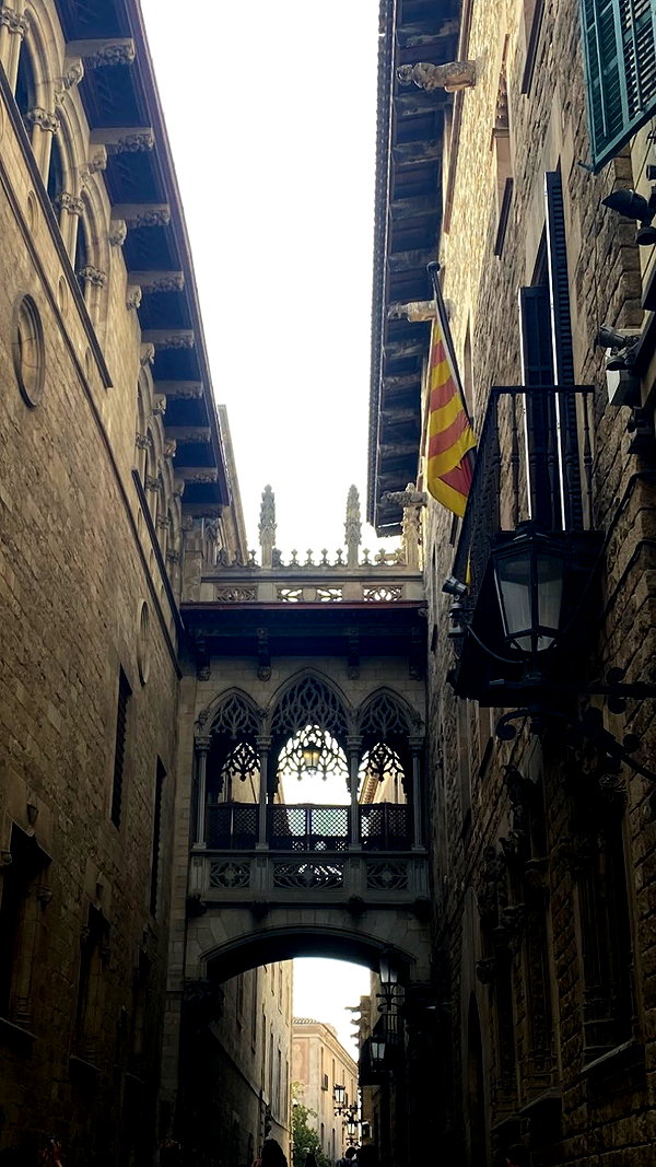 federica.piccinni instagram image archive image