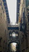 federica.piccinni Altpins Profile Picture