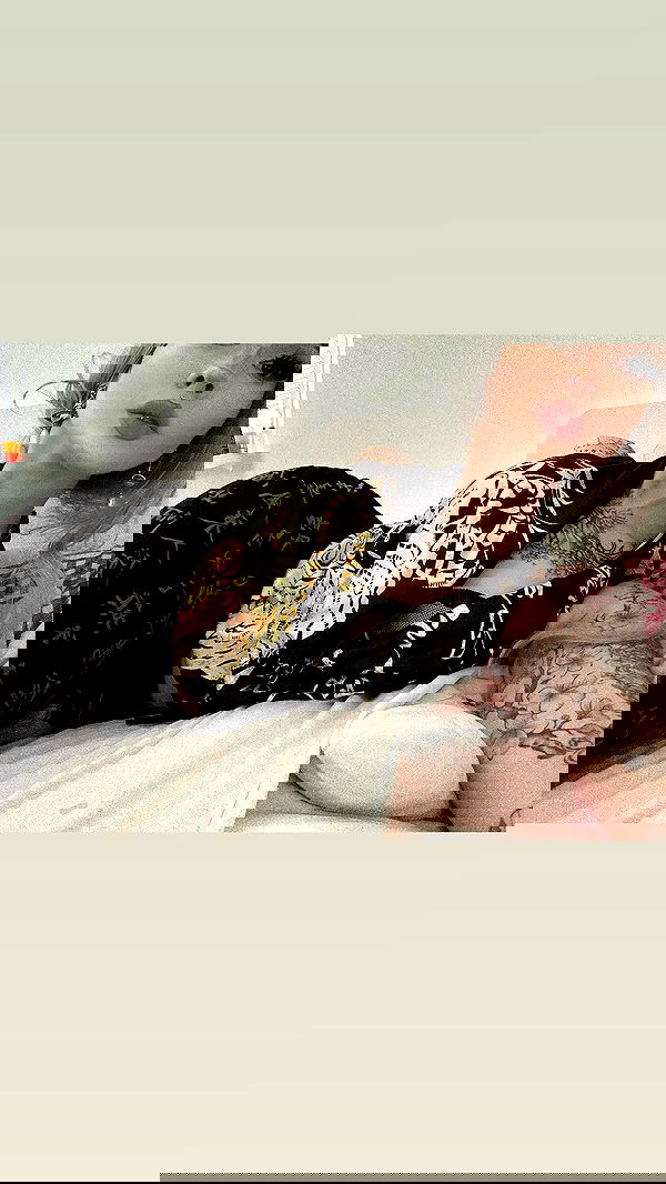 vwnrottie vwnrottie archive image