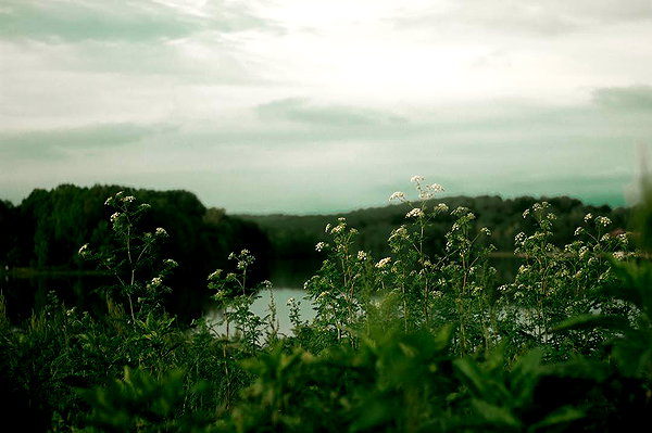 hallucineon instagram image archive image