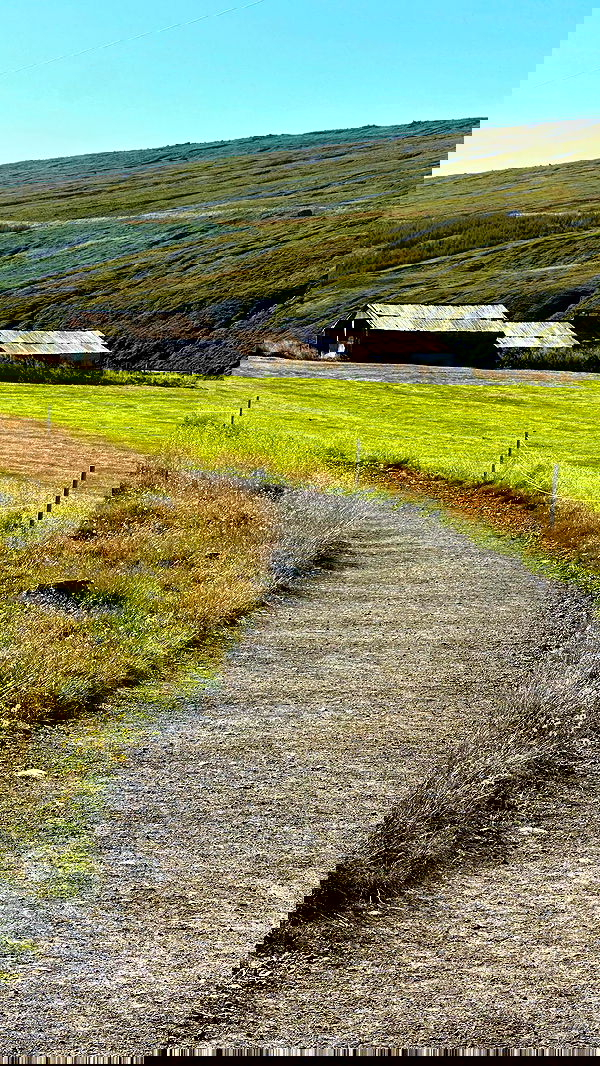 taylor.creeden taylor.creeden archive image