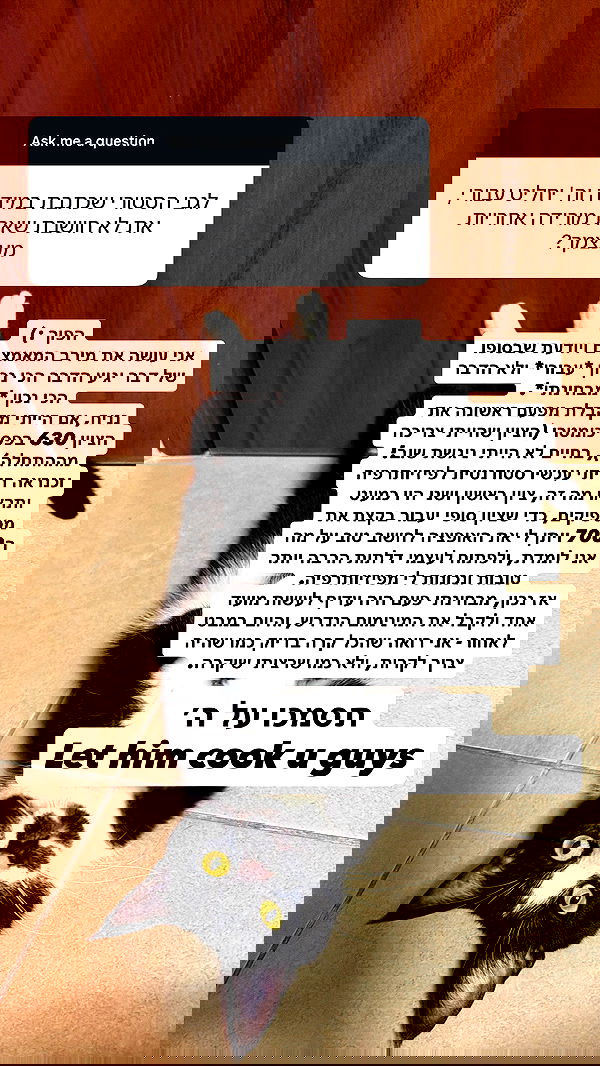 shelly_.mor shelly_.mor archive image