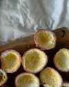 lerkamiill Altpins Profile Picture