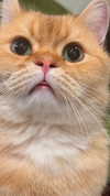 marilyn_damaged Altpins Profile Picture