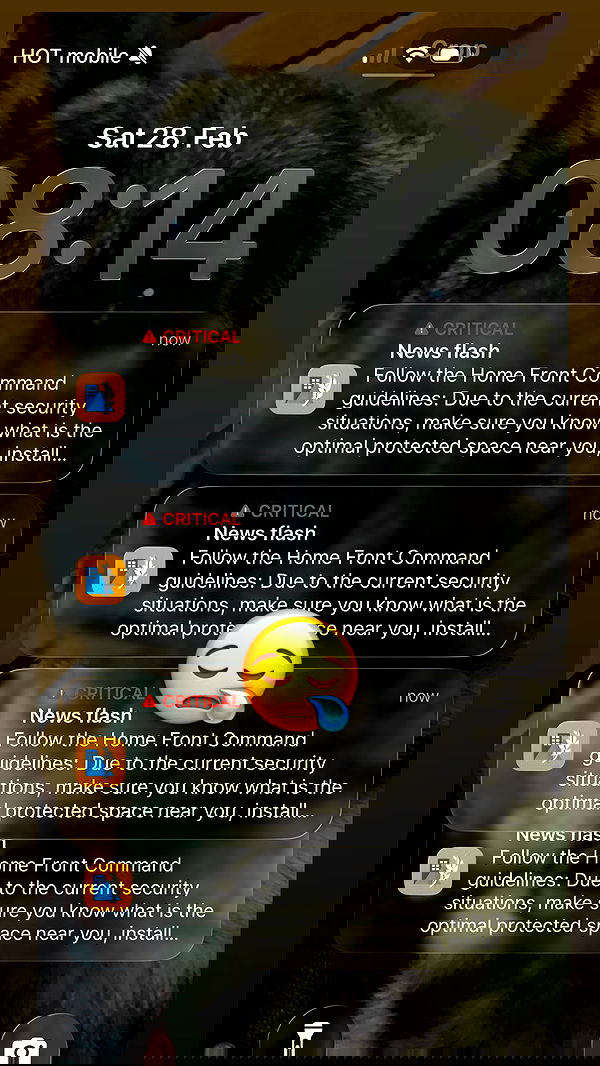 emily_new2 emily_new2 archive image