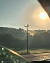 rouxroux.tv Altpins Profile Picture