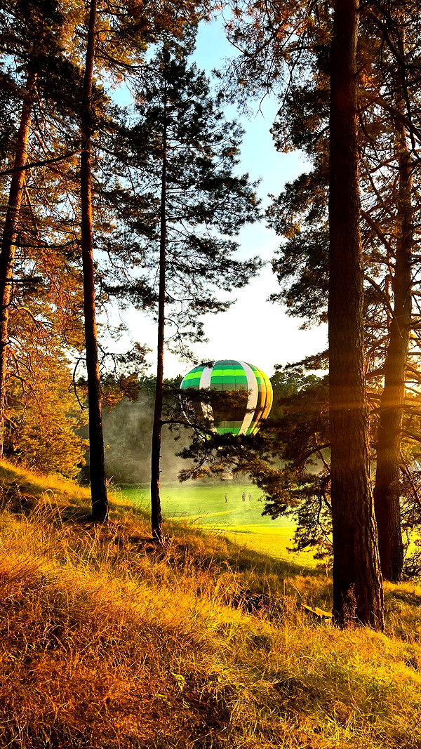 amatveyko instagram image archive image