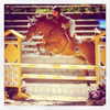 gigihadid Altpins Profile Picture