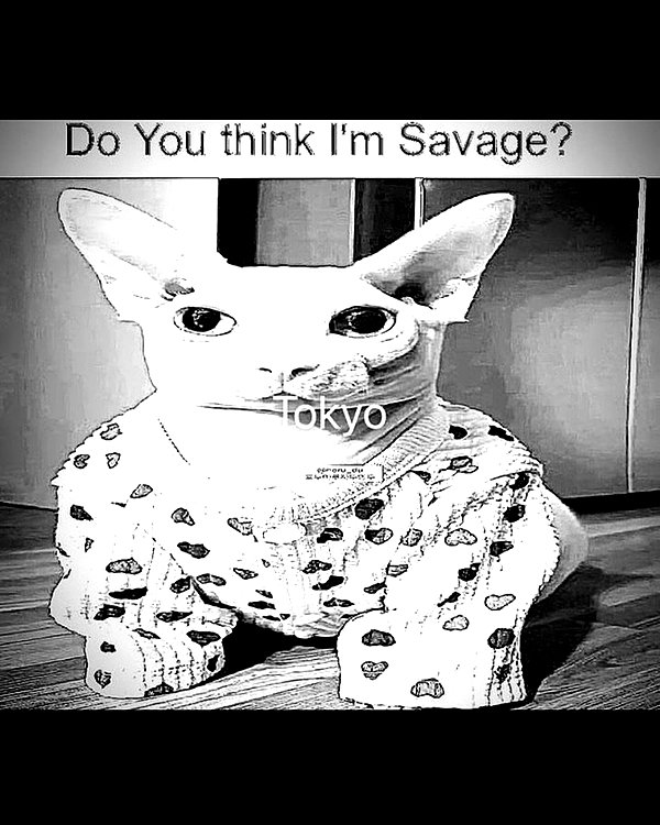 leanbeefpatty instagram image archive image