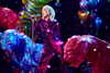 mileycyrus Altpins Profile Picture