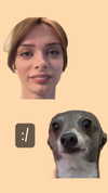 carmaxlla Altpins Profile Picture