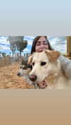 yaarat11 Altpins Profile Picture