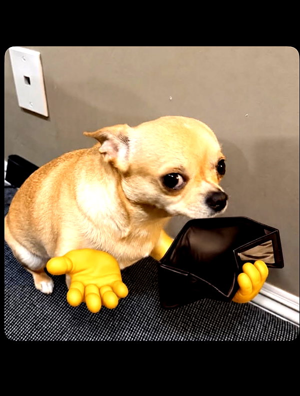 katjsx instagram image archive image