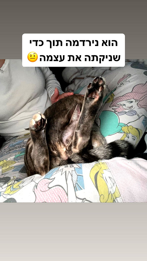 Archived image from @notchicore on Instagram