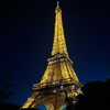 saramcfadyen_ Altpins Profile Picture