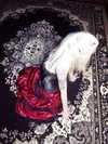 amellliiaa Altpins Profile Picture