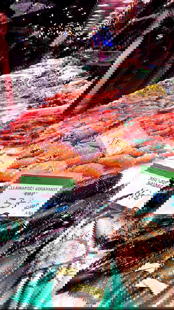 natalllluli natalllluli archive image