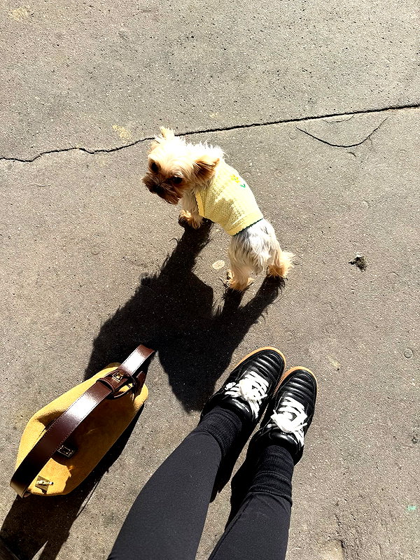 kelseydopegal instagram image archive image