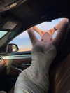 lyhythuedoxinh Altpins Profile Picture