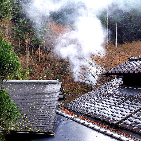 muze instagram image archive image