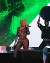 xtina Altpins Profile Picture