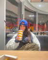 mariagabrielasantos Altpins Profile Picture