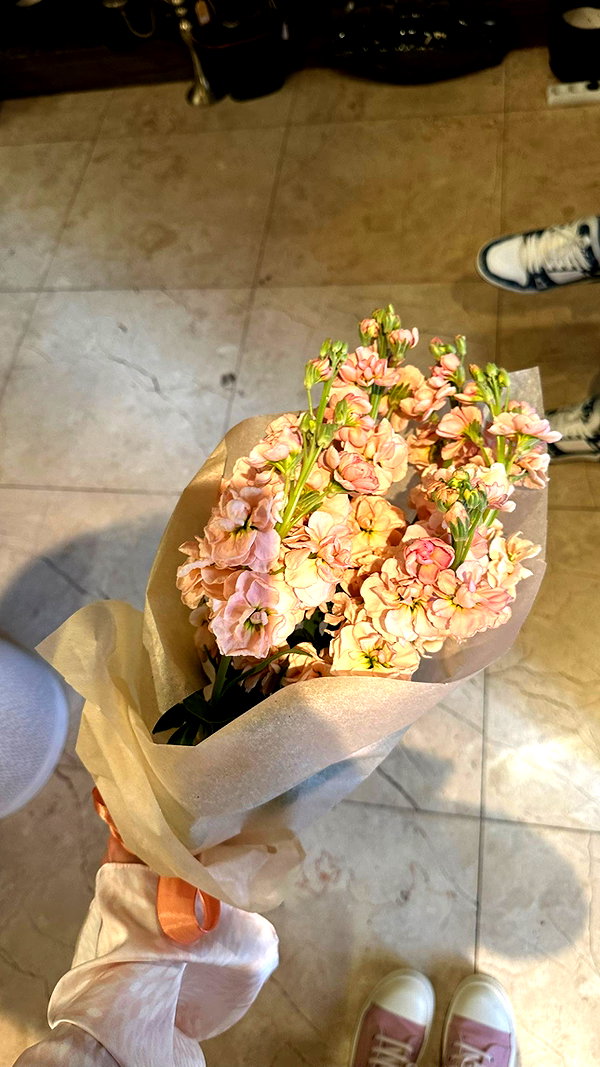 avestanova instagram image archive image