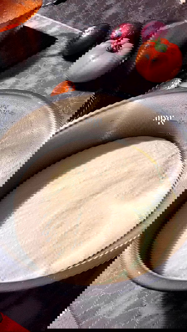 elianachetrit elianachetrit archive image