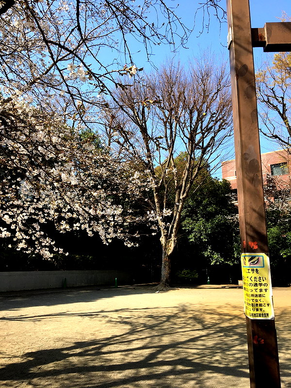 so33w.rin instagram image archive image