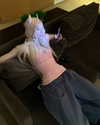 fair_mua Altpins Profile Picture