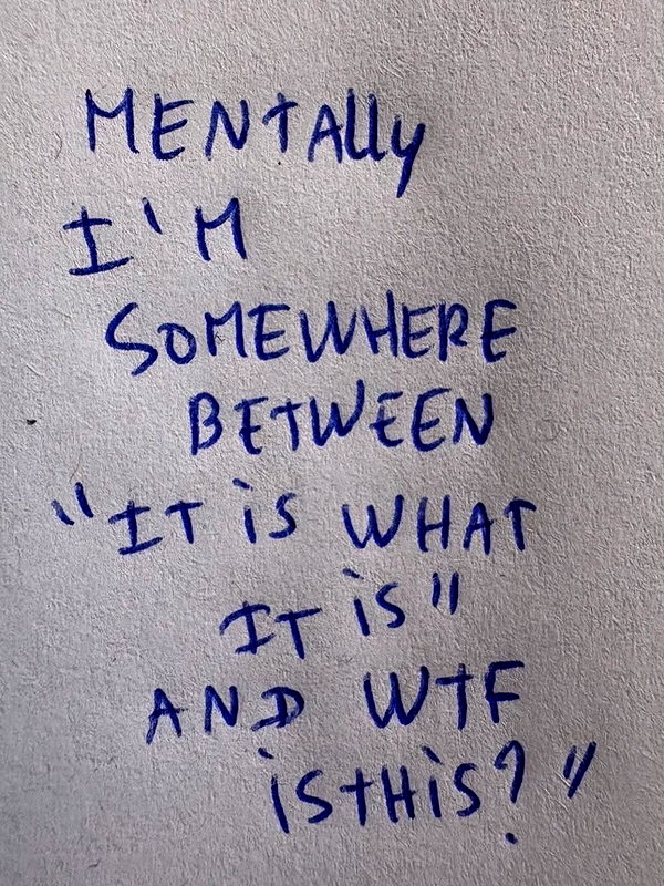 tirtza_cohen instagram image archive image