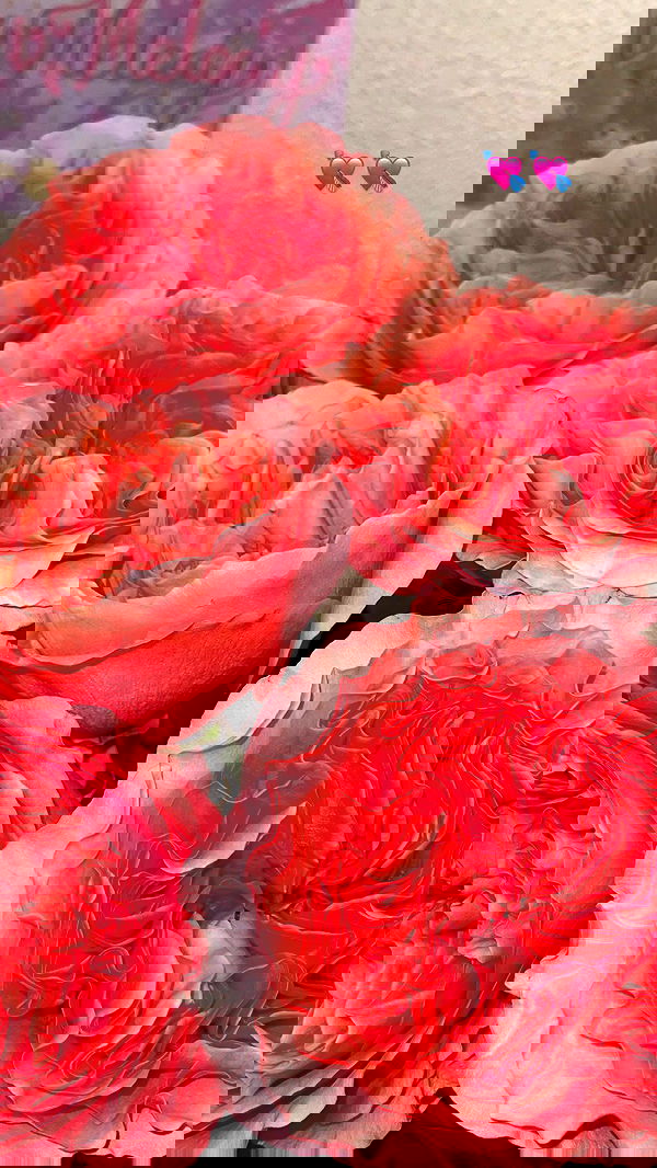 imalovesosa imalovesosa archive image