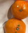 hhh.e_c.v Altpins Profile Picture