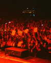 cannonstheband Altpins Profile Picture